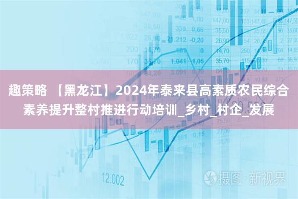 趣策略 【黑龙江】2024年泰来县高素质农民综合素养提升整村推进行动培训_乡村_村企_发展