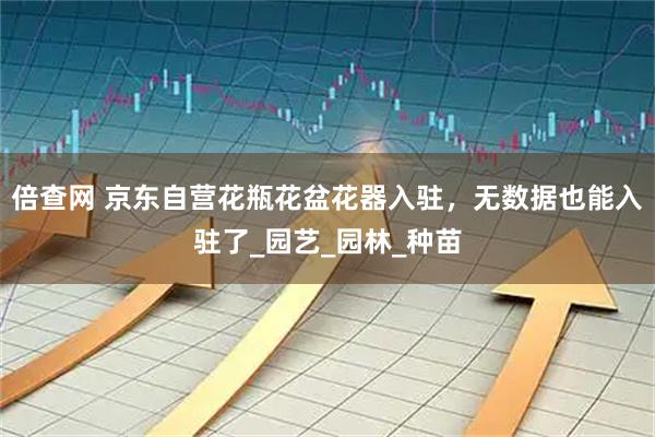倍查网 京东自营花瓶花盆花器入驻，无数据也能入驻了_园艺_园林_种苗