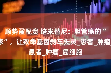 顺势盈配资 培米替尼：胆管癌的“断电专家”，让致命基因刹车失灵_患者_肿瘤_癌细胞