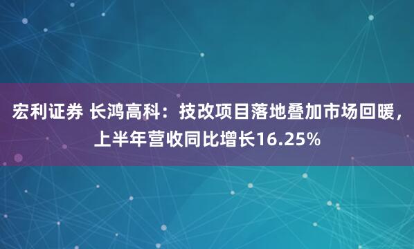 宏利证券 长鸿高科：技改项目落地叠加市场回暖，上半年营收同比增长16.25%