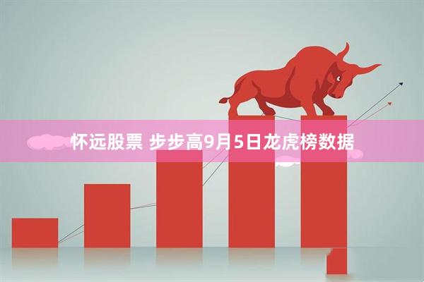 怀远股票 步步高9月5日龙虎榜数据