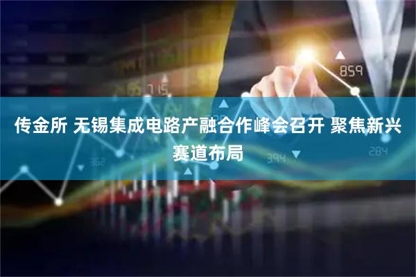 传金所 无锡集成电路产融合作峰会召开 聚焦新兴赛道布局